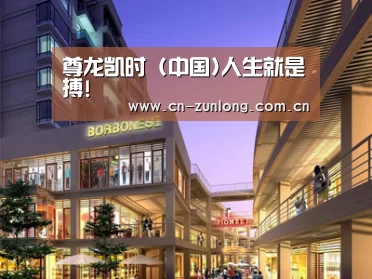 案例展示一(图1)