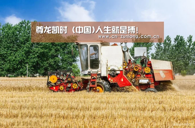 产品名称四(图1)
