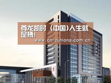 案例展示七