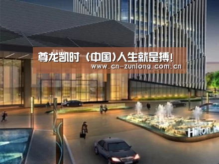 案例展示二