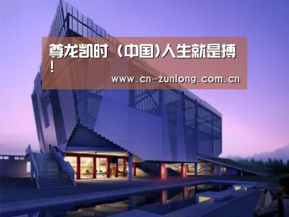 案例展示六
