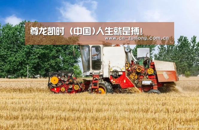 产品名称四