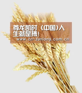 尊龙凯时 (中国)人生就是搏!