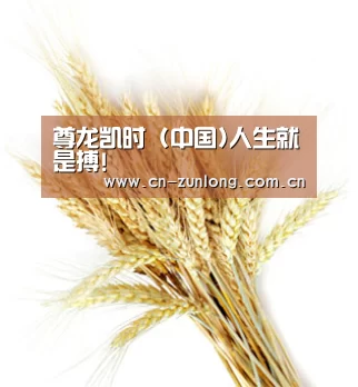 尊龙凯时 (中国)人生就是搏!