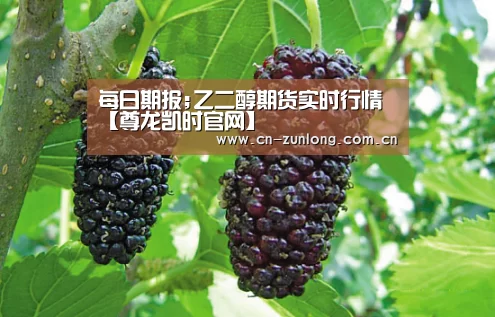 每日期报;乙二醇期货实时行情【尊龙凯时官网】(图2) 尊龙凯时人生就是搏